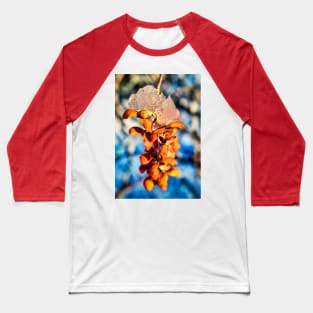 American Bittersweet In Winter 2 Baseball T-Shirt